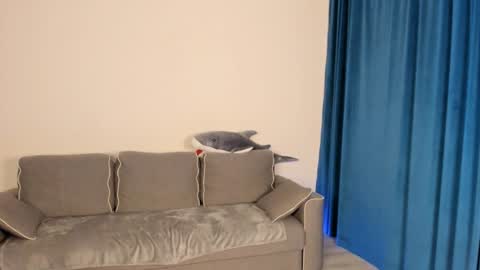 Snapshot of anna_miuu chatting on 12/05/24, 05:37 anna miuu online show from 12/05/24, 05:37