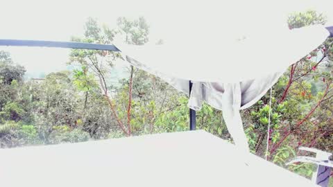  Anna Weells  online show from 03/30/26, 02:29