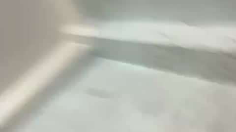 annabae69 online show from 04/13/26, 12:21