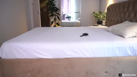 Snapshot of annamalia chatting on 04/11/26, 05:56 Annie follow my onlyfans - 50 off online show from 04/11/26, 05:56