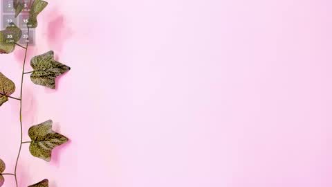 Anne online show from 02/02/25, 09:23