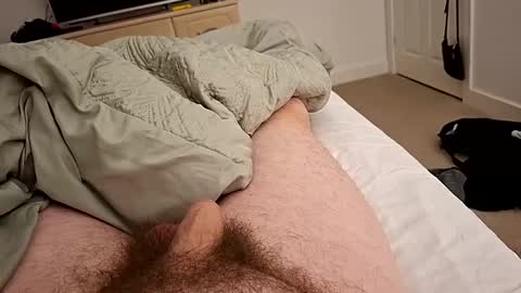 Annesfeet online show from 12/19/24, 10:53