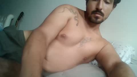 Snapshot of annibalhibou chatting on 03/11/25, 09:37 Annibalhibou online show from 03/11/25, 09:37