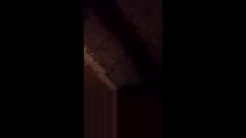 anniebunni online show from 02/16/26, 05:36