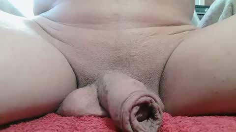 Snapshot of annitsxfastnsa chatting on 02/14/25, 03:47 annitsx online show from 02/14/25, 03:47