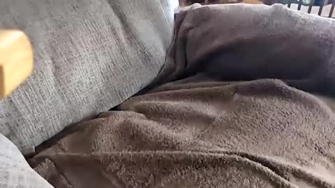 jay online show from 11/20/25, 04:18