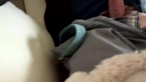 anonomousloser online show from 03/19/26, 02:43