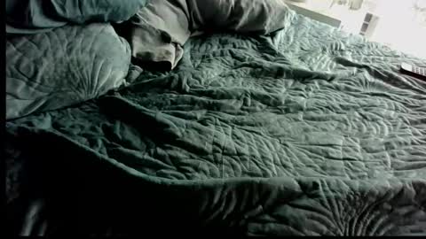 Anonpov couple online show from 02/28/26, 12:55