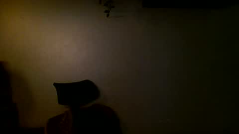 Ant online show from 12/11/24, 04:31