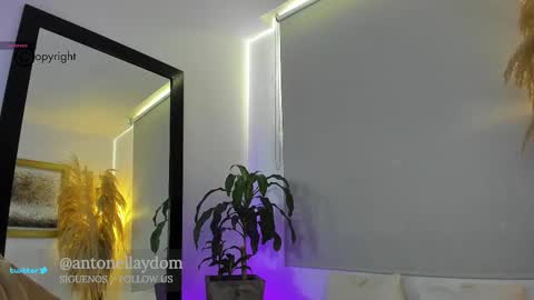 Antonella14Dominic online show from 12/15/25, 06:45