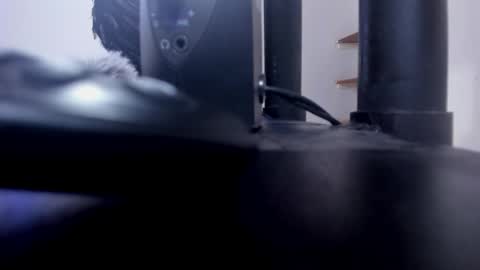 ANTO  online show from 10/15/25, 01:22