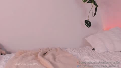 Snapshot of antonia_savatto_ chatting on 01/22/25, 03:07 o ANTO online show from 01/22/25, 03:07