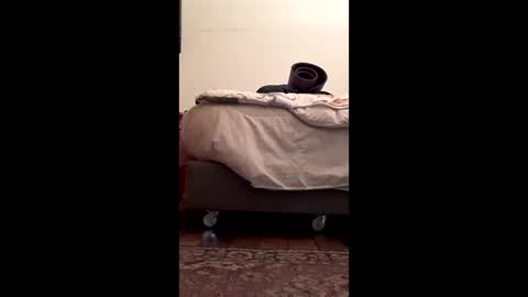 Snapshot of antonino85 chatting on 02/10/26, 05:17 antonino85 online show from 02/10/26, 05:17