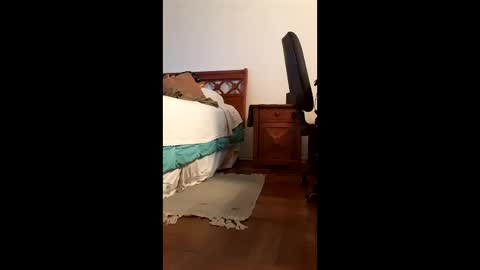 Snapshot of antonino85 chatting on 02/20/26, 09:48 antonino85 online show from 02/20/26, 09:48