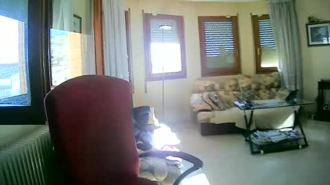 Snapshot of antonio2605 chatting on 01/13/25, 11:19 Antonio online show from 01/13/25, 11:19