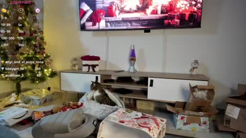 Anyi  Orion and Pyxis online show from 01/07/25, 03:24