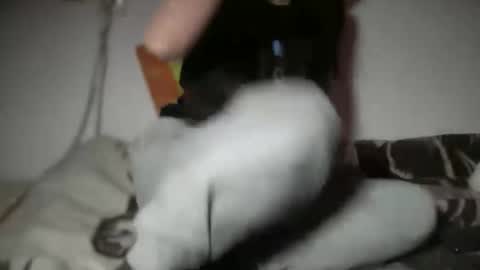 aphr0dite22 online show from 01/06/26, 03:16