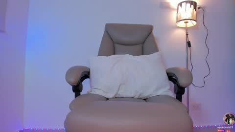 Snapshot of apoteosis_ chatting on 11/04/25, 11:20 Apo online show from 11/04/25, 11:20