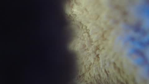 Snapshot of apriil_3 chatting on 02/05/25, 05:09 Abril Freelance Model online show from 02/05/25, 05:09