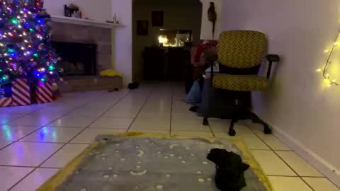 Snapshot of aprilanna chatting on 12/25/24, 01:10 AnnaApril420 online show from 12/25/24, 01:10