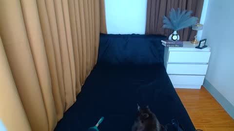 ARABELLA online show from 03/09/25, 12:21