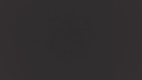 hairycub online show from 12/04/24, 12:47