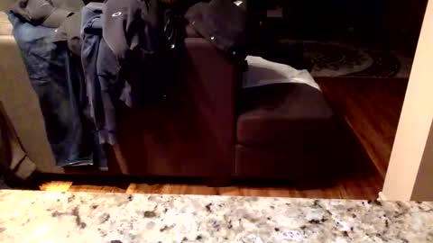 Snapshot of arabiandream21 chatting on 01/16/26, 10:19 Knowledgeiskeyy online show from 01/16/26, 10:19