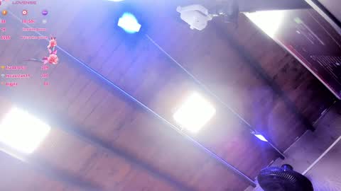 ARI  online show from 01/29/25, 11:41