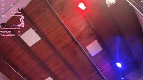 ARI  online show from 01/30/25, 03:08