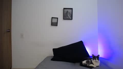  777 online show from 12/19/24, 05:40