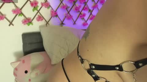 Snapshot of aria_silk chatting on 04/20/26, 06:31 aria_silk online show from 04/20/26, 06:31