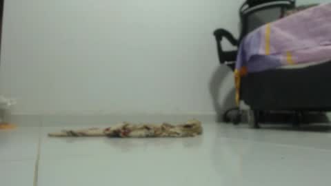 Snapshot of ariadna_6 chatting on 01/29/25, 06:18 ...Ariana... online show from 01/29/25, 06:18