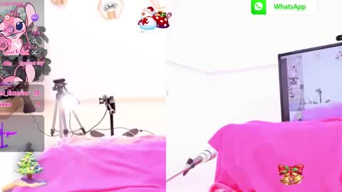 Snapshot of ariana_girl_ chatting on 12/29/24, 06:24 ariana girl online show from 12/29/24, 06:24