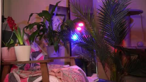 Snapshot of arianna_richi chatting on 03/20/26, 06:40 Olivka online show from 03/20/26, 06:40