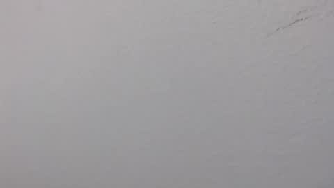 Snapshot of ariannaloovel chatting on 06/14/26, 02:24 ariannaloovel online show from 06/14/26, 02:24