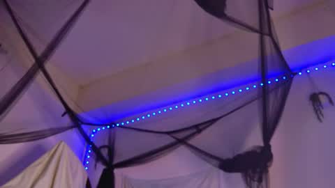 Aria online show from 02/04/26, 09:31