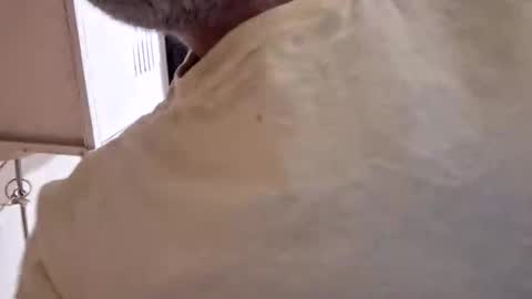 Snapshot of arielferdman chatting on 10/28/25, 09:06 arielferdman online show from 10/28/25, 09:06