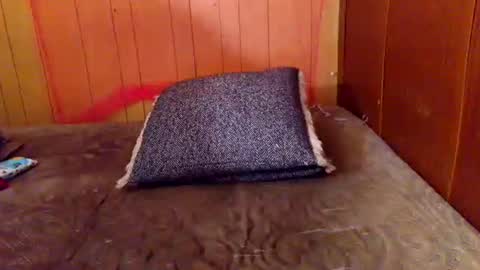 Snapshot of ariellejade06 chatting on 02/19/26, 06:26 ariellejade06 online show from 02/19/26, 06:26