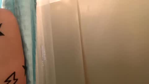 Snapshot of arielwyld chatting on 01/06/25, 01:08 ariel colin when hes here online show from 01/06/25, 01:08