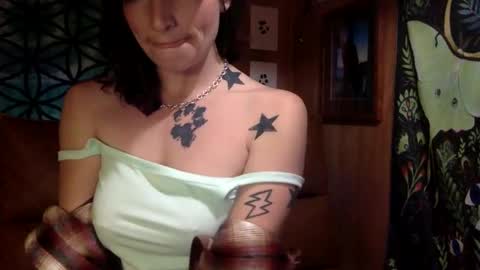 Snapshot of arielwyld chatting on 02/21/25, 12:49 ariel colin when hes here online show from 02/21/25, 12:49