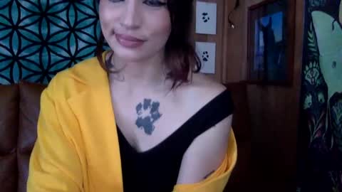 Snapshot of arielwyld chatting on 02/22/25, 03:58 ariel colin when hes here online show from 02/22/25, 03:58