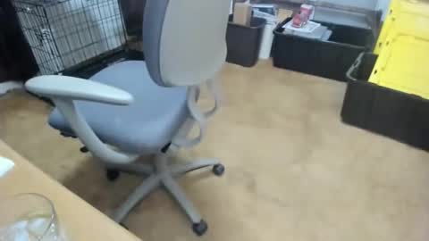 armalite16 online show from 01/18/26, 03:32