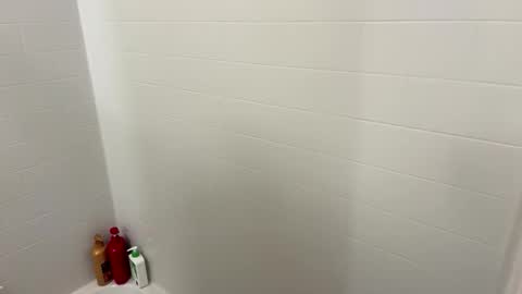 Snapshot of arnicbod chatting on 10/20/25, 04:29 arnicbod online show from 10/20/25, 04:29