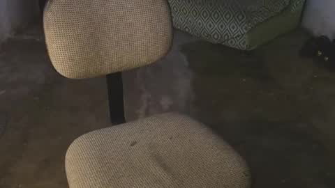 Snapshot of aron_7 chatting on 03/08/25, 04:34 aron_7 online show from 03/08/25, 04:34