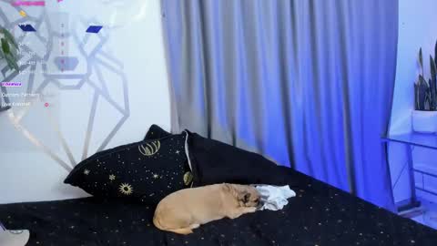 Snapshot of aron_santoro1 chatting on 01/12/25, 04:31 Aron Santoro online show from 01/12/25, 04:31