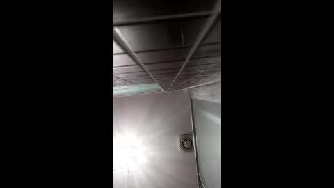 art2414 online show from 04/06/26, 08:37