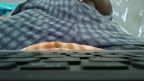 art_max99xxx online show from 01/11/25, 11:13