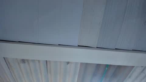 Snapshot of artemis_020 chatting on 10/15/25, 01:06 FENIX online show from 10/15/25, 01:06