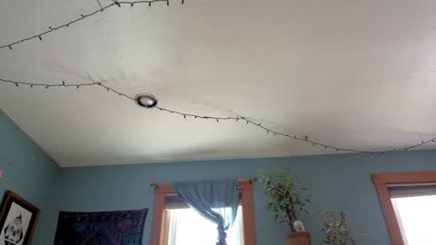 Snapshot of artiepaints chatting on 01/03/25, 04:27 Artie Paints online show from 01/03/25, 04:27