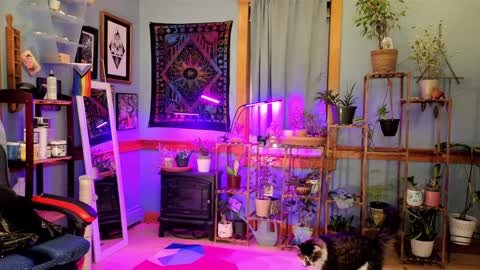 Snapshot of artiepaints chatting on 01/04/25, 12:16 Artie Paints online show from 01/04/25, 12:16